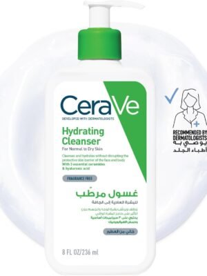 61N6OtnmiFL._AC_SL1280_ cerave